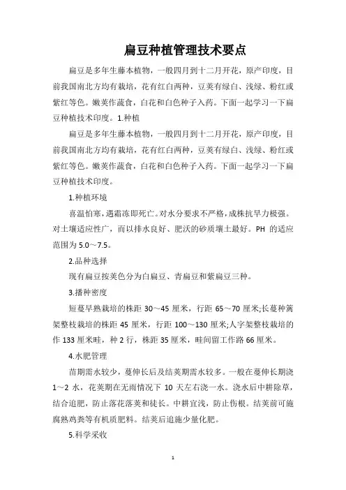 扁豆种植管理技术要点