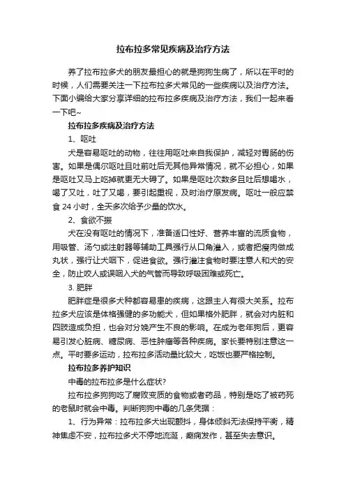 拉布拉多常见疾病及治疗方法
