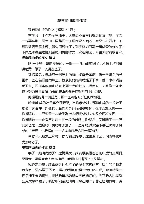 观察爬山虎的作文（精选21篇）