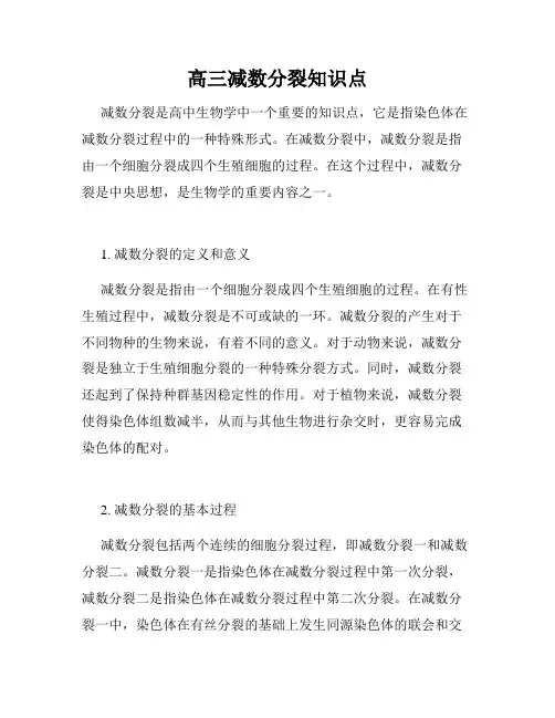 高三减数分裂知识点