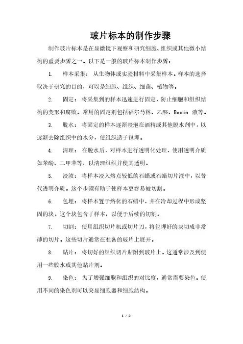 玻片标本的制作步骤