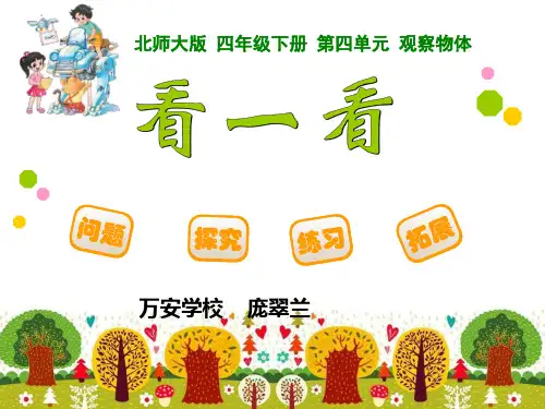 北师大版小学四年级数学下册第四单元《 看一看》(庞翠兰)