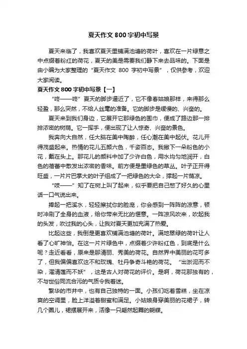 夏天作文800字初中写景