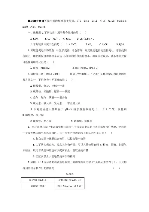 含答案(人教版)九年级下册第11单元盐、化肥