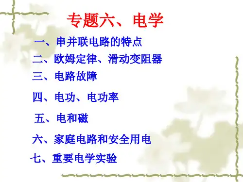 中考物理专题复习电学 通用