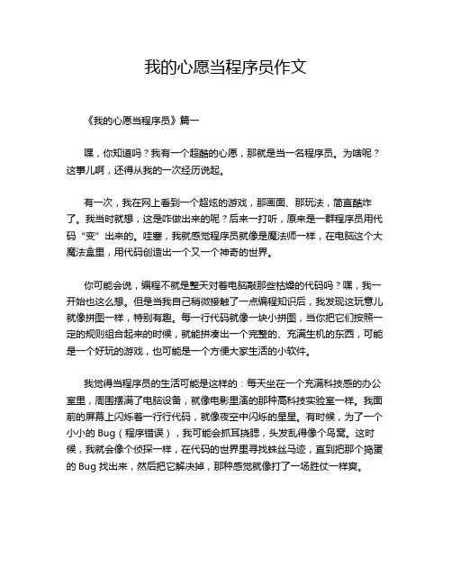 我的心愿当程序员作文