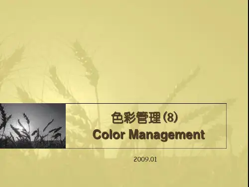 色彩管理-建立色彩管理流程(PPT31页)