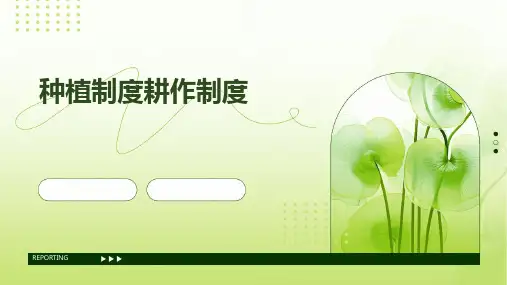 种植制度耕作制度