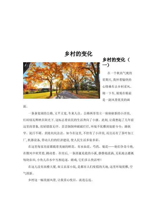 乡村的变化(共10篇)