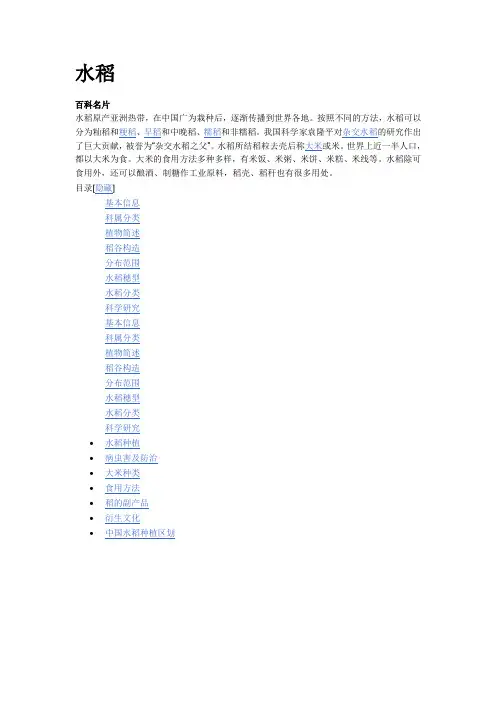 水稻资料