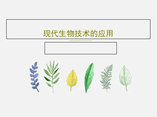 现代生物技术的应用35页PPT