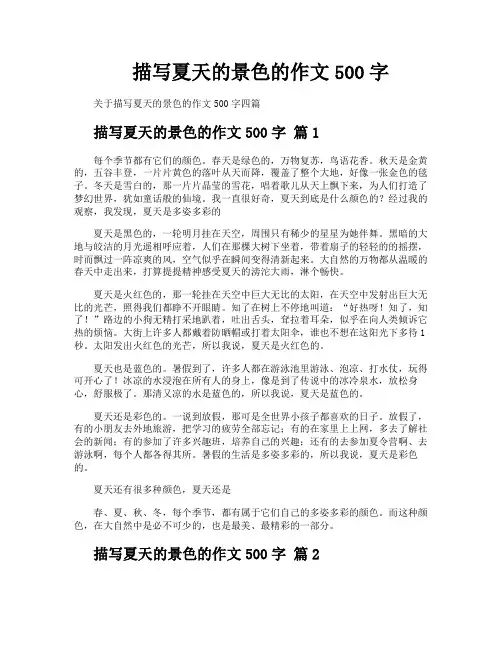 描写夏天的景色的作文500字