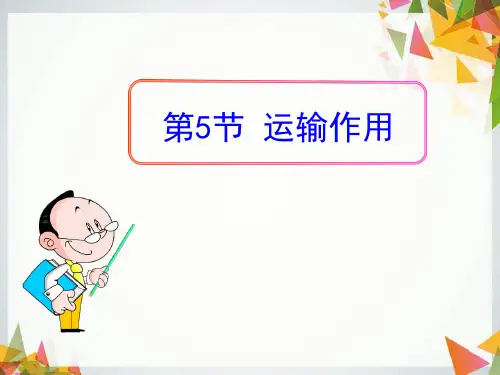 初中七年级上册生物《运输作用》PPT优秀课件