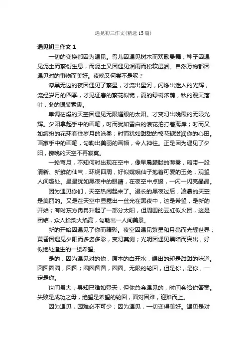 遇见初三作文（精选15篇）