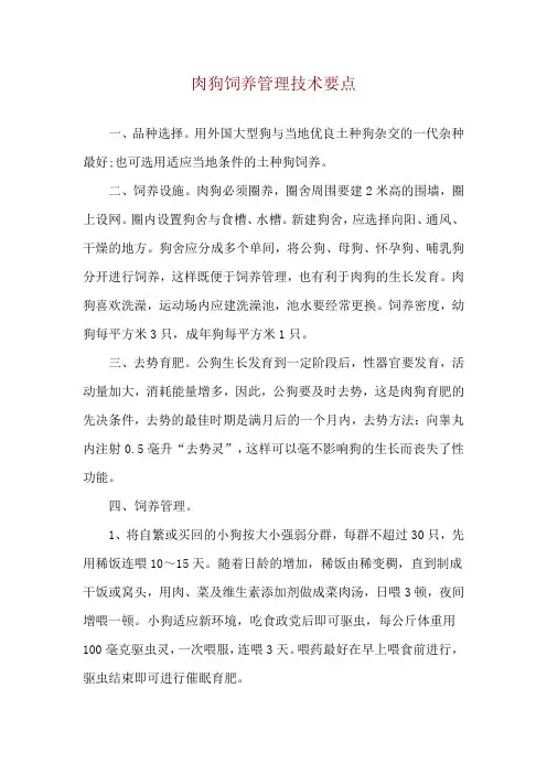 肉狗饲养管理技术要点