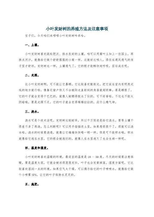 小叶发财树的养殖方法及注意事项