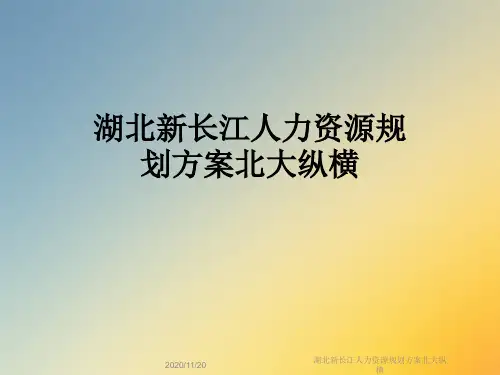 湖北新长江人力资源规划方案北大纵横