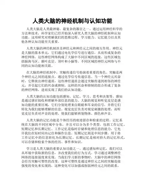 人类大脑的神经机制与认知功能