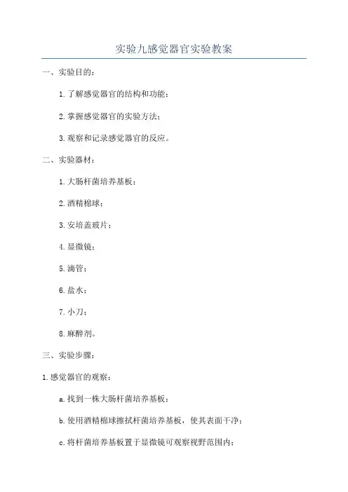 实验九感觉器官实验教案