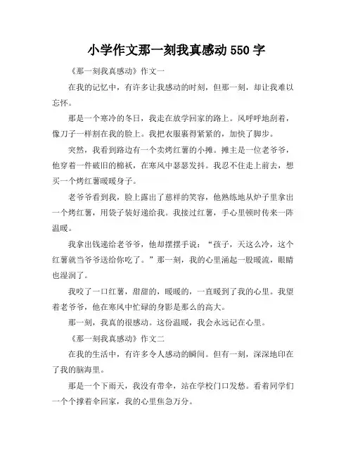 小学作文那一刻我真感动550字