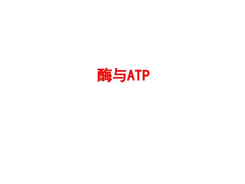 高中生物高考考点精讲4 酶和ATP(课件)