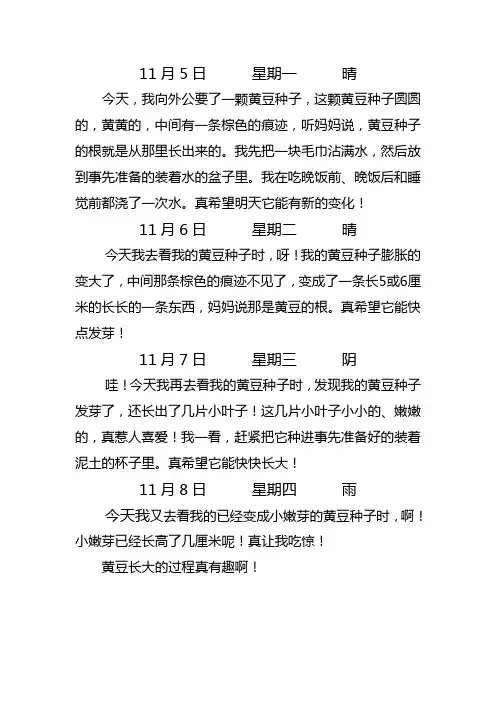 观察日记 黄豆发芽