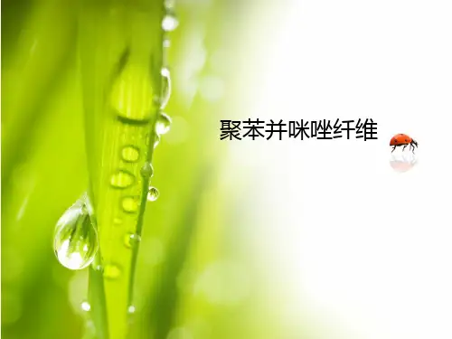 化学纤维概论-PBI