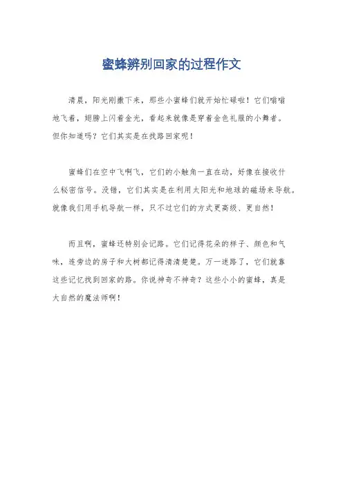 蜜蜂辨别回家的过程作文