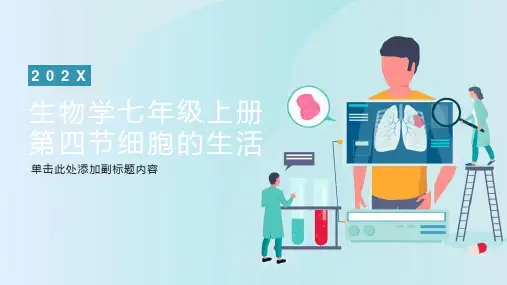 生物学七年级上册第四节细胞的生活