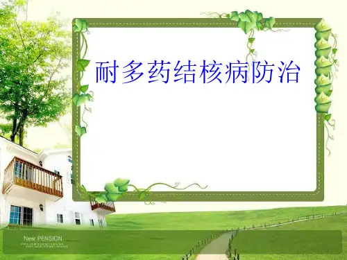 耐药结核病防治-ppt课件