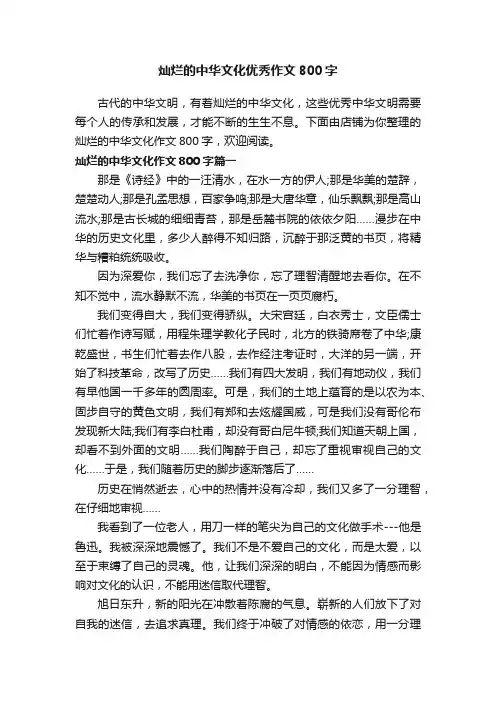 灿烂的中华文化优秀作文800字