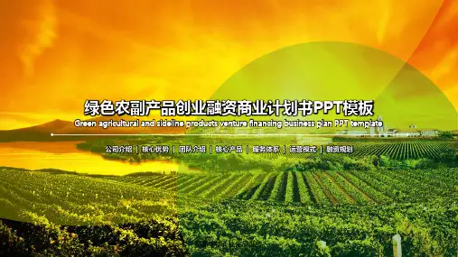 【乡村振兴ppt模板】绿色农副产品项目创业融资商业计划书PPT模板