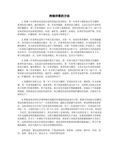 种植洋葱的方法