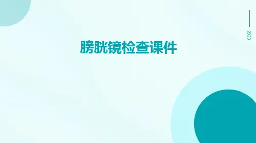 膀胱镜检查课件
