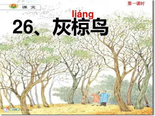 灰椋鸟ppt定稿精品课件