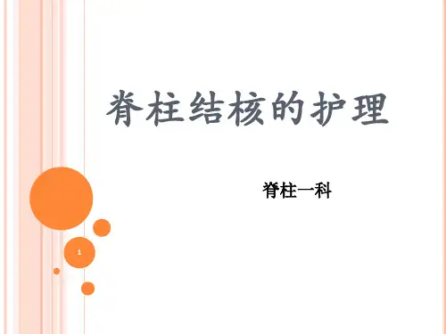 脊柱结核护理PPT课件