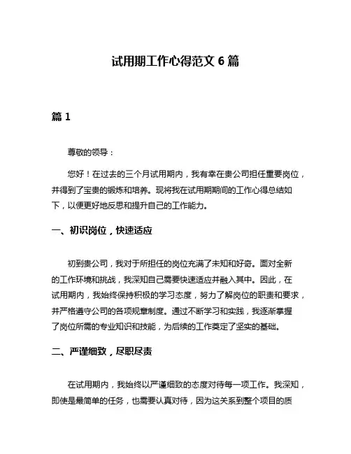 试用期工作心得范文6篇