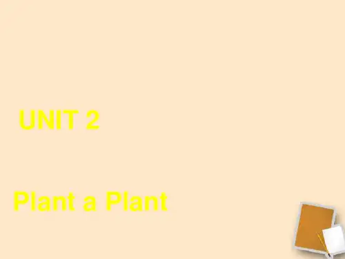 八年级英语下册 lesson 13 Why Are Plants Important课件 冀教版