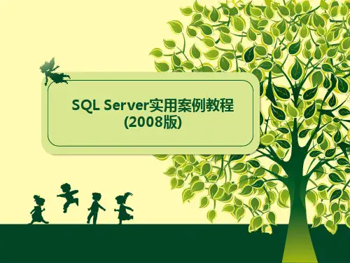 SQL Server 2008实用案例教程-1