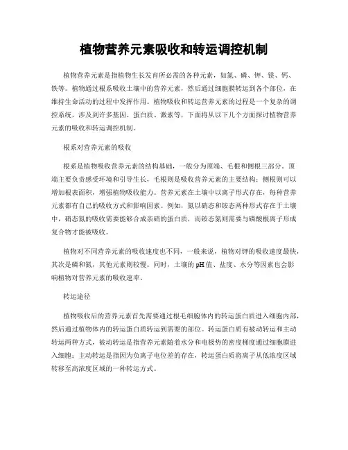 植物营养元素吸收和转运调控机制