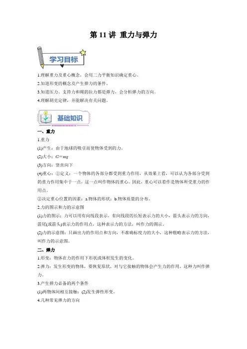 【新高一物理】第11讲 重力与弹力(教师版)-初升高物理暑假衔接(人教版)