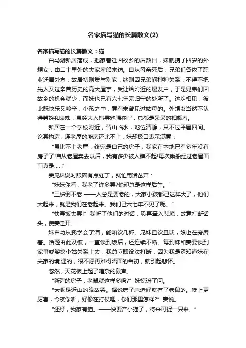 名家描写猫的长篇散文（2）