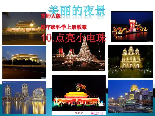 四年级上 点亮小电珠首师大版ppt