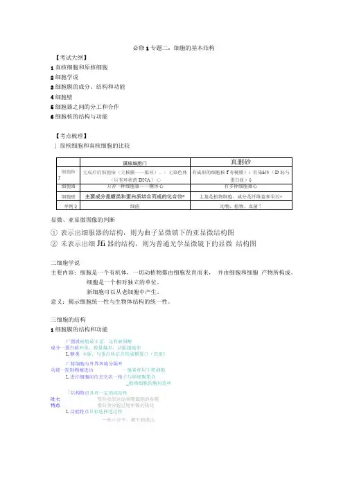 高考生物专题-细胞的基本结构知识点及专题练习(附解析)