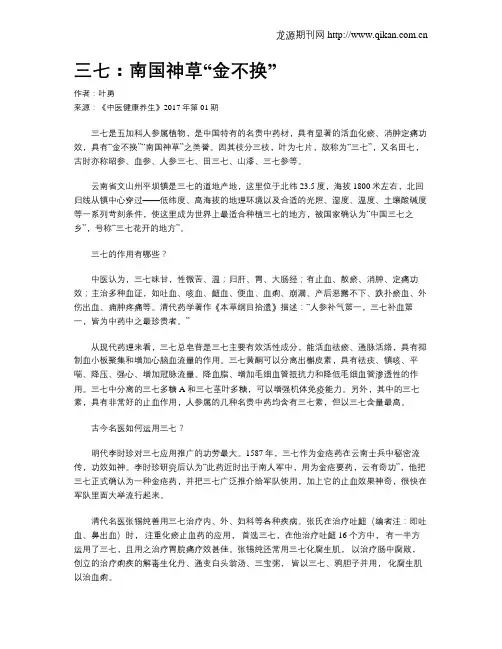 三七：南国神草“金不换”