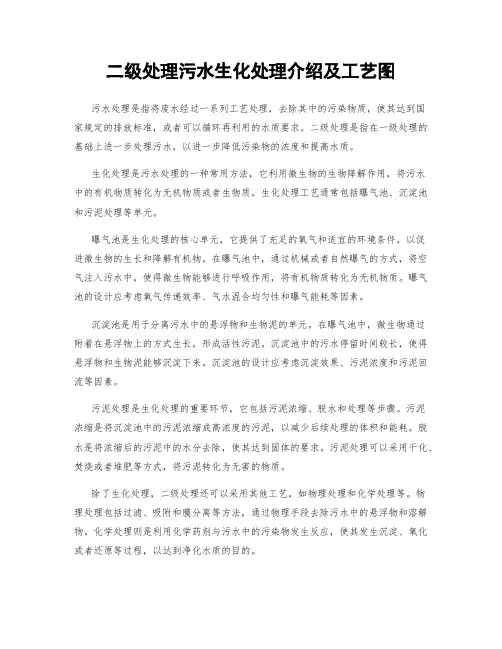 二级处理污水生化处理介绍及工艺图