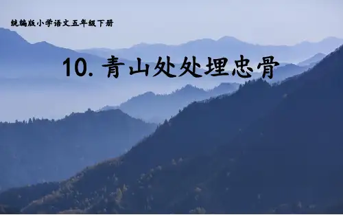 10 青山处处埋忠骨 课件(共21张PPT)