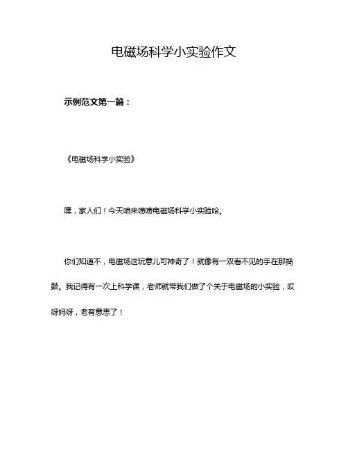 电磁场科学小实验作文