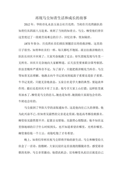 再现马尘知青生活和成长的故事