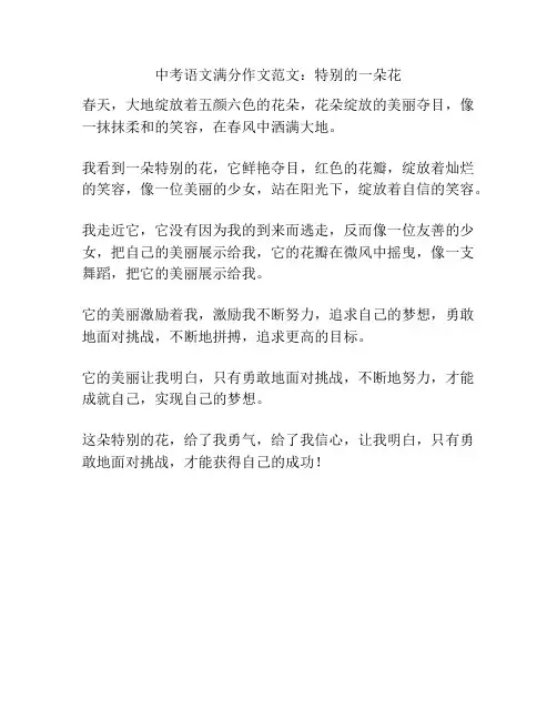 中考语文满分作文范文：特别的一朵花
